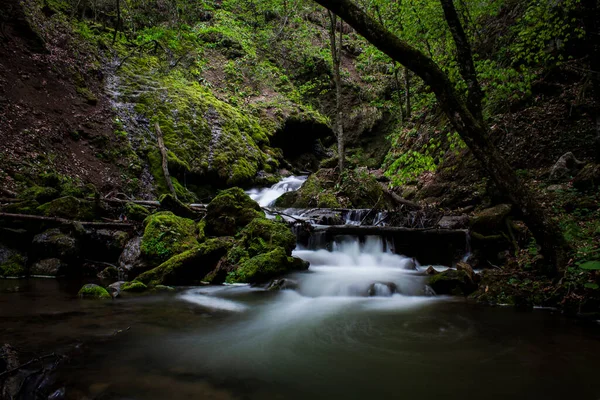Uma Pequena Cachoeira Flui Através Floresta — Fotografia de Stock