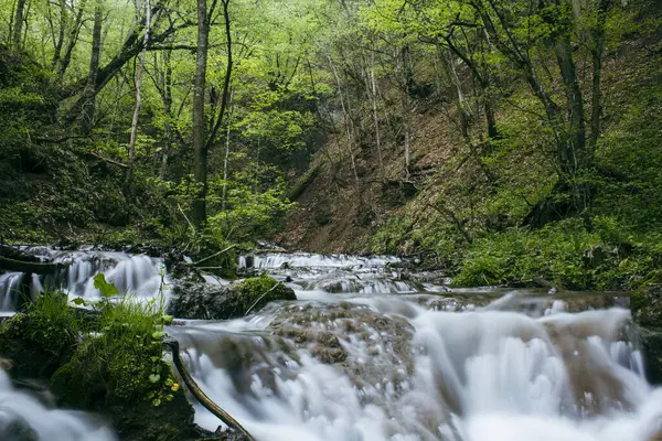 小さな滝が森の中を流れ — ストック写真