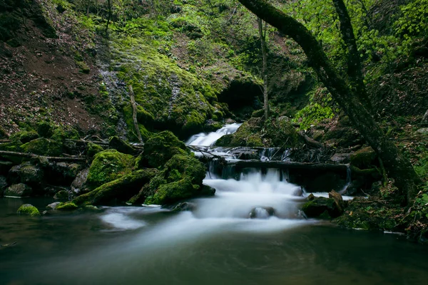 Uma Pequena Cachoeira Flui Através Floresta — Fotografia de Stock