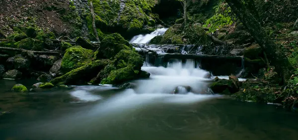 小さな滝が森の中を流れ — ストック写真