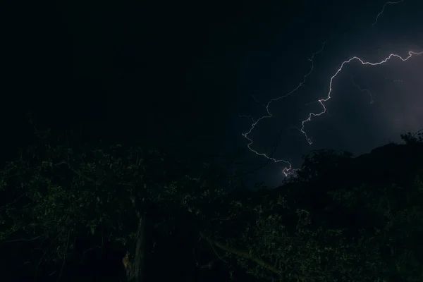 Fulmini Nel Cielo Notturno Sopra Foresta — Foto Stock