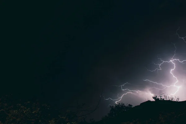 森の向こうの夜空に稲光が — ストック写真