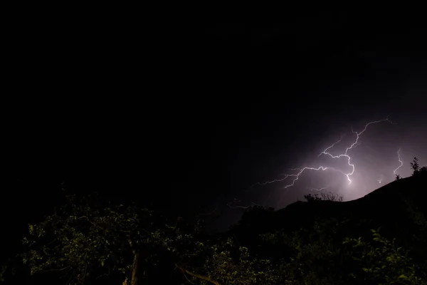 Blitz Nachthimmel Über Dem Wald — Stockfoto