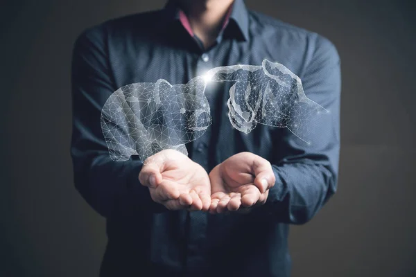 Clicks Piggy Bank Network Man Holding His Hand — Stock Photo, Image