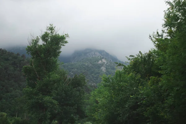 Bergskedjor Täckta Med Skog Molnen — Stockfoto