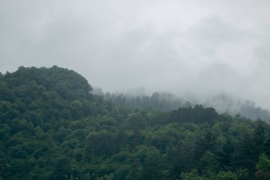 Dağlar, bulutların altındaki ormanlarla kaplı.