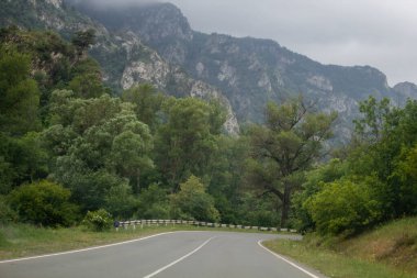 Asfalt yolu ormanlardan ve dağlardan geçer.