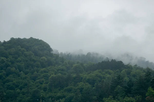 Dağlar Bulutların Altındaki Ormanlarla Kaplı — Stok fotoğraf