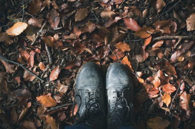 Ormanda sonbahar yaprakları ve botları