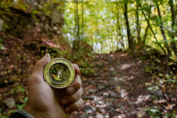 Compass in hand in the forest in autumn by the path