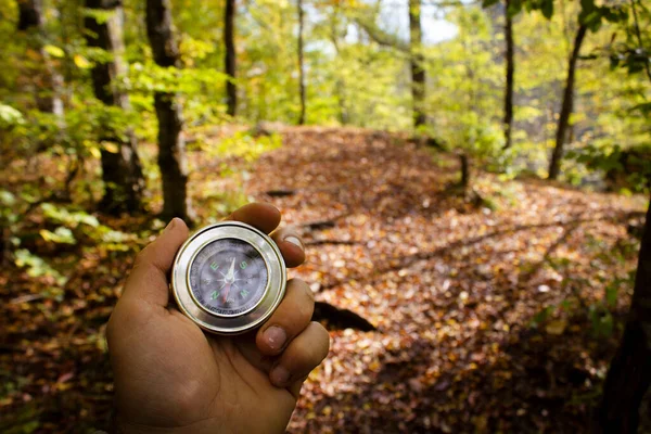 Compass in hand in the forest in autumn by the path