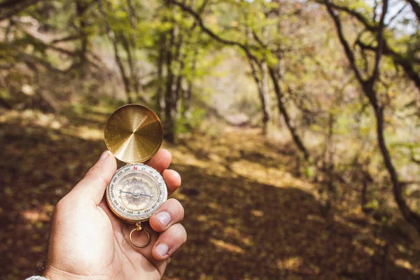 Compass in hand in the forest in autumn by the path