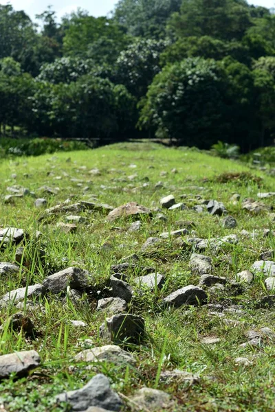 rough terrain trail for walking and trekking. rocky path on grass