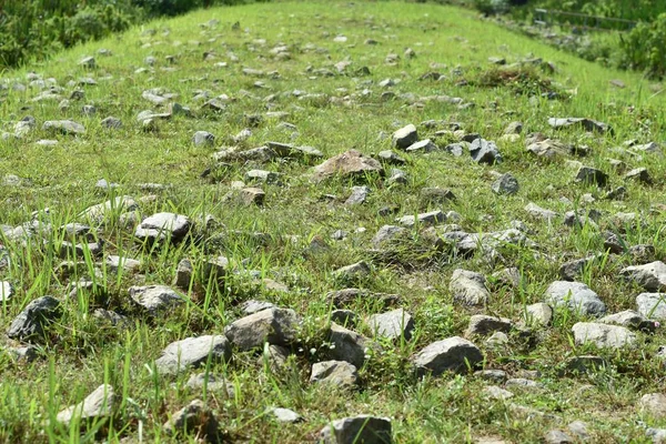 rough terrain trail for walking and trekking. rocky path on grass
