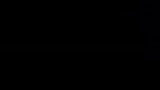Волейбол Перехід Кліпи Прозорих Фонах Альфа Каналів Легкого Перетягування Скидання — стокове відео