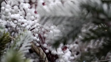 Değişen odak bitki örtüsü ile soyut arkaplan.