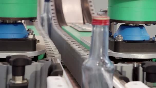 El movimiento de botellas de vidrio vacías en una cinta transportadora. — Vídeo de stock