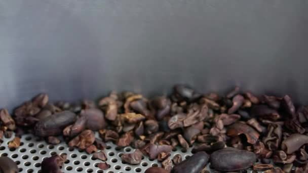 Перемешивание кофейных зерен крупным планом. — стоковое видео