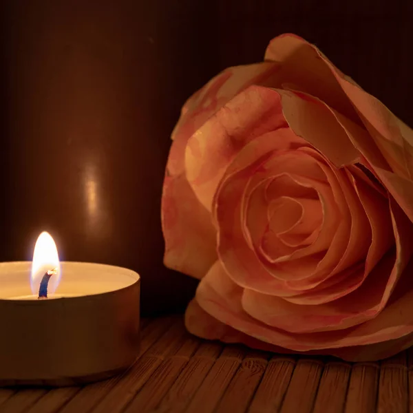 Tea Light Candle Rose Close Romantic Concept — Stock Photo, Image