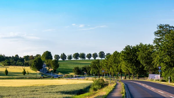 Vue Panoramique Route Asphaltée Dans Paysage Rural Verdoyant Avec Ciel — Photo