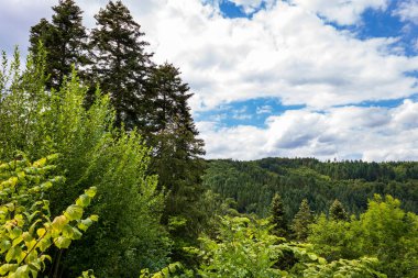 Yazın Kirchzell, Odenwald, Almanya 'da mavi gökyüzü olan yeşil orman manzarası.