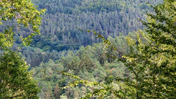 Vista Panoramica Sulle Montagne Sulla Foresta Verde Odenwald Estate Kirchzell — Foto Stock