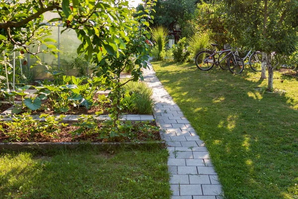Sentier Dans Jardin Allotissement Vert Été Allemagne Jardin Tranquille Avec — Photo