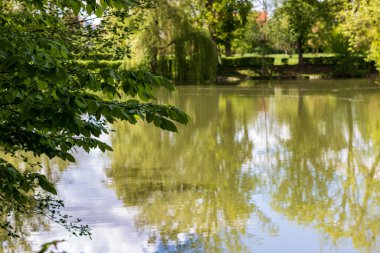 Kötü Friedrichshall Jagstfeld, Almanya 'da Schachtsee Gölü' nün sularındaki ağaçların yansıması güneşli bir günde. Huzurlu göl manzarası
