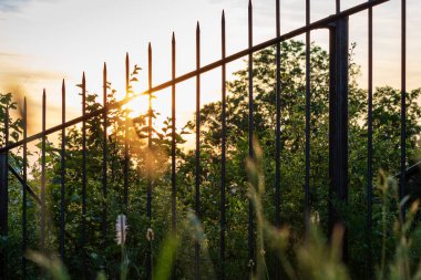 Çitin üzerinden gün batımı gökyüzü yeşil ortamda, yerden manzara.