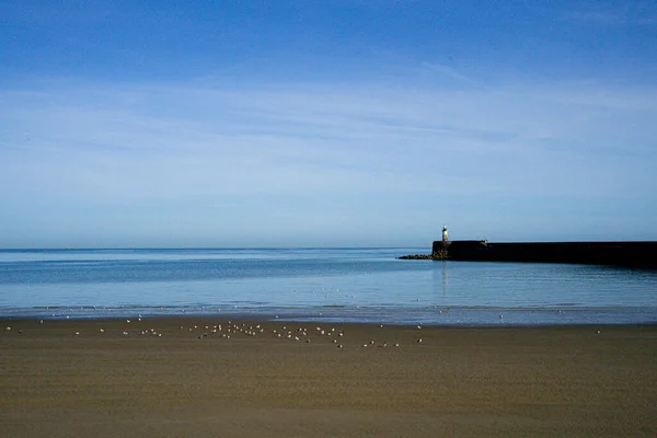Lighthouse Sea Beach Seagulls Complete Calm — Stock Fotó