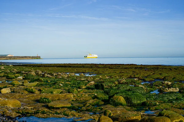 Stones Sea Green Algae Ship — Stock Fotó