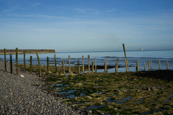 Lighthouse Distance Sea Stones Beach — 图库照片