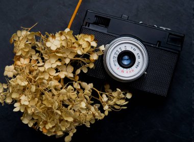 Siyah arka planda kuru çiçekli klasik siyah kamera.