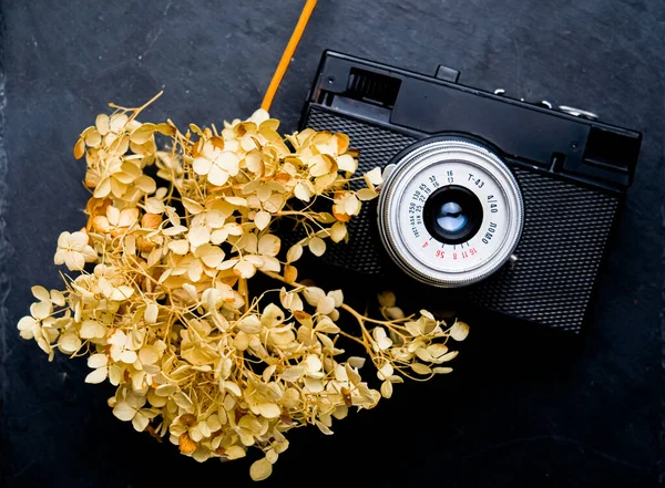 vintage black camera on a black background with dry flowers