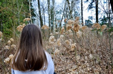 Ormanda yürüyen bir kız, kuru çiçeklere hayran..