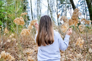 Ormanda yürüyen bir kız, kuru çiçeklere hayran..