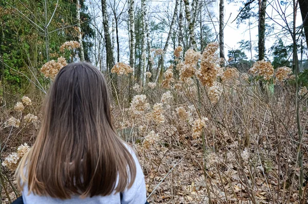 Ormanda yürüyen bir kız, kuru çiçeklere hayran..