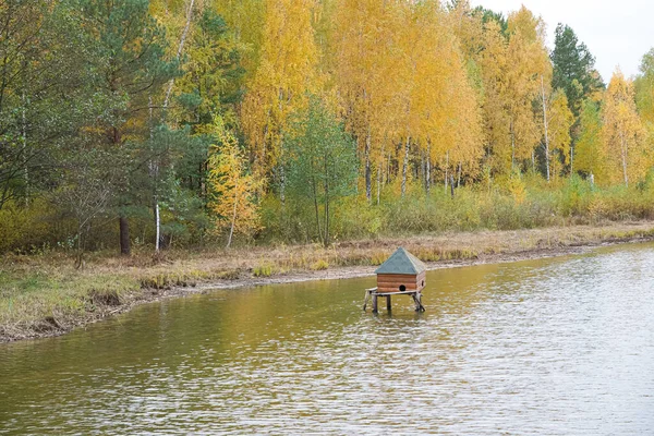 A small wooden house for an animal in the water. Autumn pond with a house for an animal against the background of autumn trees.