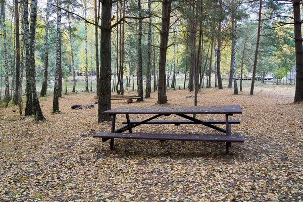 A wooden bench stands in the autumn forest.