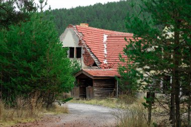 Ormanda terk edilmiş bir ev, 31 Ekim 2021. Ankara - Türkiye