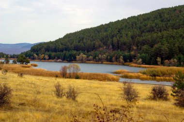 Göl ve mavi gökyüzü olan ulusal park. Göl kenarındaki çam koruluğu.. 