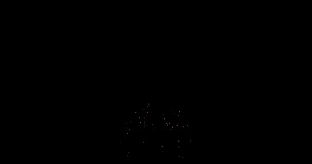 Запись Фейерверков Разных Цветов Сверкающими Фейерверками Зажигает Взрыв Ночном Звездном — стоковое видео