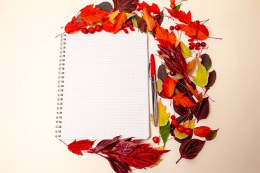 Not defteri, sonbahar yaprakları. Beyaz akçaağaç yapraklarının, kayın ağaçlarının ve huş ağaçlarının üzerinde izole edilmiş nesneler. Düzen, kopyalama alanı, üst görünüm