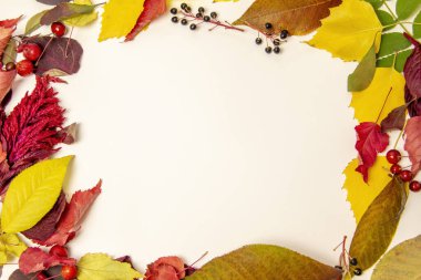 Sonbahar kompozisyonu, beyaz arkaplanda sarı, yeşil ve kırmızı yaprakların yazılı olduğu bir çerçeve şeklindedir. Yukarıdan bak. Düzen, kopyalama alanı