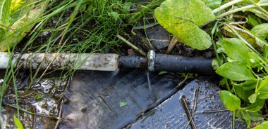 Suyla dolu bir hortumda bir delik ve patlayan bir boru, bahçesinde akan bir su olan bir hortum, bozuk tesisat, çiftçilik..