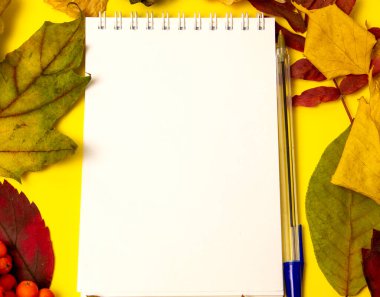 Sarı zemin üzerinde kalem ve sonbahar yaprakları ile boş bir not defteri.