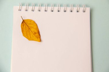 Not defteri ve sonbahar yaprakları mavi arka planda. Yukarıdan bak. kopyalama alanı. Düzen, metin için yer