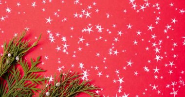 Parlak yıldızlı kırmızı animasyon ardılı yeşil ardıç dalı, hareketli Noel arkaplanı.