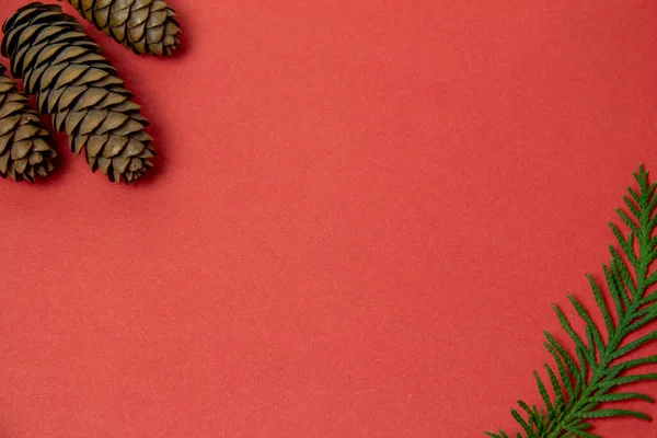 Kırmızı arka planda çam kozalağı. Noel arkaplanı