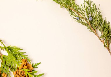 Sonbahar arkaplan üstü görünümü. Sarı kırmızı sonbahar yapraklarından çerçeve.